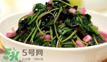 莧菜怎么吃？莧菜怎么炒