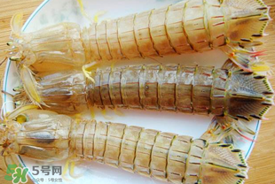 蝦爬子多少錢一斤？2017蝦爬子價(jià)格