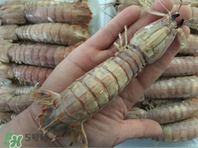 蝦爬子是蒸還是煮？蝦爬子蒸好還是煮好？
