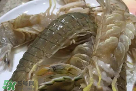 皮皮蝦可以放冰箱嗎？皮皮蝦能放冰箱保存嗎？