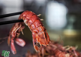 熟皮皮蝦隔夜還能吃嗎？煮熟的皮皮蝦隔夜能吃嗎？