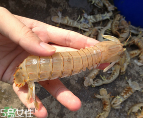 ?皮皮蝦發(fā)綠能吃嗎？?皮皮蝦變綠了還能吃嗎？