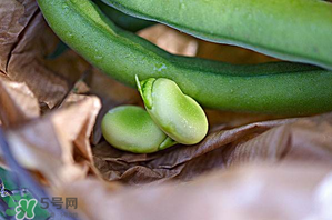 蠶豆可以放冰箱嗎？新鮮蠶豆可以放冰箱嗎？