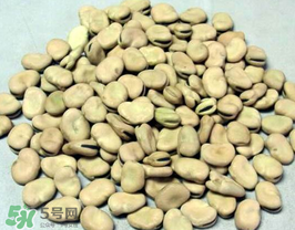 蠶豆長蟲還能吃嗎？蠶豆怎么保存不長蟲？