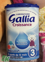 gallia佳利雅奶粉怎么沖？gallia佳利雅奶粉沖調(diào)方法？