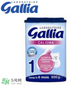 gallia佳利雅奶粉怎么沖？gallia佳利雅奶粉沖調(diào)方法？
