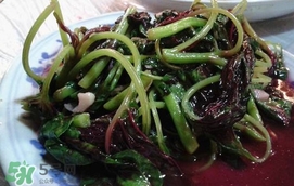 汗菜是發(fā)物嗎？汗菜是不是發(fā)物嗎