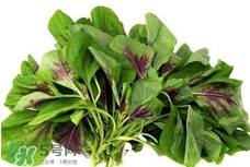 莧菜與什么相克？莧菜與什么食物相克