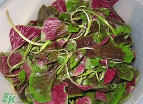 莧菜怎么洗？莧菜怎么擇