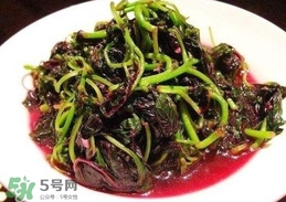 汗菜是發(fā)物嗎？汗菜是不是發(fā)物嗎