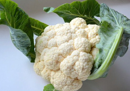 西蘭花是花菜嗎？西蘭花是菜花嗎