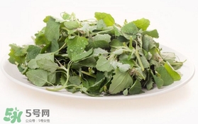 胃酸過(guò)多吃灰灰菜有好處嗎？胃酸過(guò)多能吃灰灰菜嗎