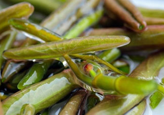莼菜怎么做？莼菜怎么做好吃？