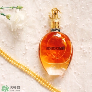 roberto cavalli是什么牌子？羅伯托卡沃利是幾線什么檔次？
