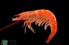 基圍蝦不能和什么一起吃？基圍蝦和什么不能一起吃？