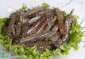 基圍蝦不能和什么一起吃？基圍蝦和什么不能一起吃？
