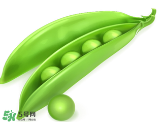 荷蘭豆能生吃嗎？荷蘭豆生的可以吃嗎？
