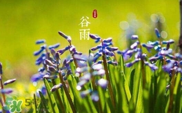 谷雨養(yǎng)生吃什么？谷雨養(yǎng)生常識(shí)