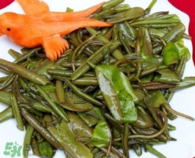 莼菜是什么菜？莼菜是荷葉嗎？