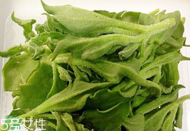 ?冰菜多少錢一斤？? 今年冰菜多少錢一斤？