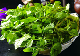 西洋菜怎么摘洗？西洋菜怎么洗才干凈