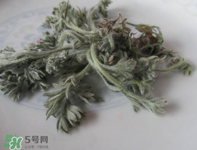 白蒿能治黃疸嗎？白蒿水可以治黃疸嗎？
