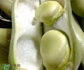 蠶豆多少錢一斤？蠶豆多少錢一斤2017？