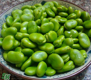 蠶豆多少錢一斤？蠶豆多少錢一斤2017？