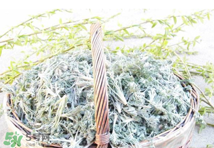 白蒿要焯水嗎？白蒿要不要焯水？