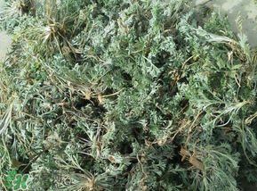 白蒿多少錢一斤？白蒿的價(jià)格