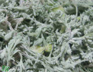白蒿不能和什么一起吃？白蒿不能與什么同食？