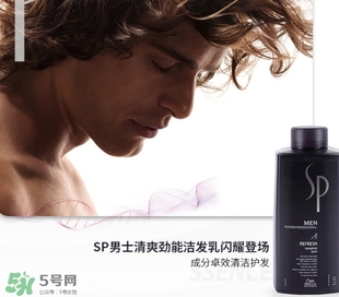 sp威娜是什么牌子？威娜是哪個國家什么檔次？