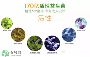 益生菌哪個牌子好？哪個牌子的益生菌好？
