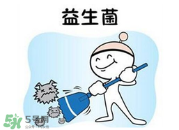益生菌哪個牌子好？哪個牌子的益生菌好？