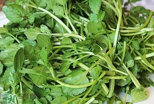 西洋菜是什么菜？西洋菜是什么樣的