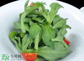 冰草不能和什么一起吃？冰草不能和什么同時吃？
