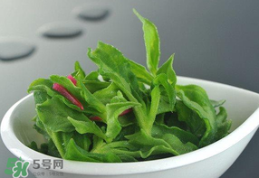 冰草可以放冰箱嗎？冰草能用冰塊保存嗎？