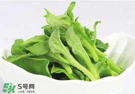 冰草多少錢(qián)一斤？非洲冰草多少錢(qián)一斤？