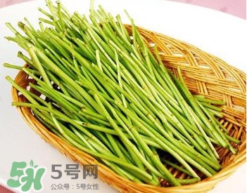 蘆蒿與茼蒿有什么區(qū)別？蘆蒿和茼蒿的區(qū)別