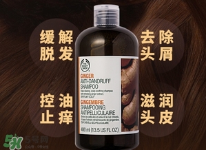 美體小鋪生姜洗發(fā)水怎么樣？the body shop生姜洗發(fā)水使用心得