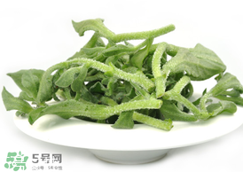 ?冰草為什么會酸？冰草為什么是酸的？