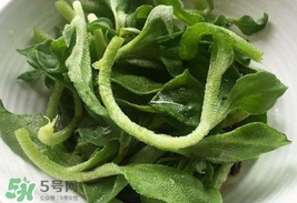冰菜為什么會(huì)酸？冰菜為什么是咸的？