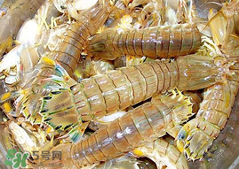 蝦爬子能冷凍嗎？蝦爬子可以冷藏嗎？
