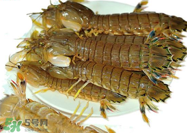 蝦爬子能冷凍嗎？蝦爬子可以冷藏嗎？