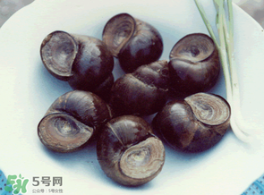 田螺不能和什么一起吃？田螺和什么不能一起吃？