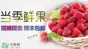 刺泡是覆盆子嗎？刺泡和覆盆子的區(qū)別