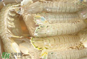 蝦爬子綠色怎么回事？蝦爬子變黑還能吃嗎？