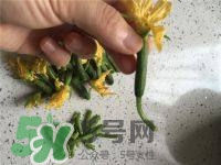 黃瓜花能吃嗎？黃瓜花怎么吃