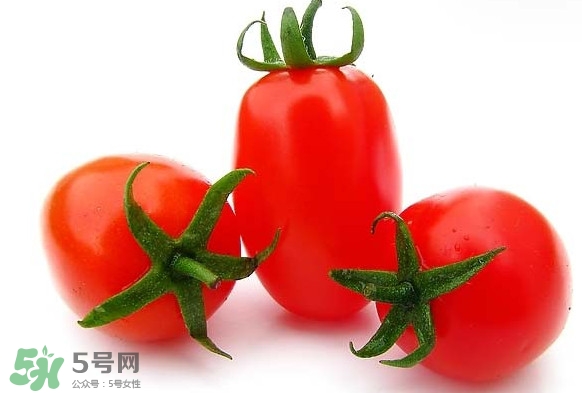 圣女果是水果還是蔬菜？圣女果屬于蔬菜還是水果