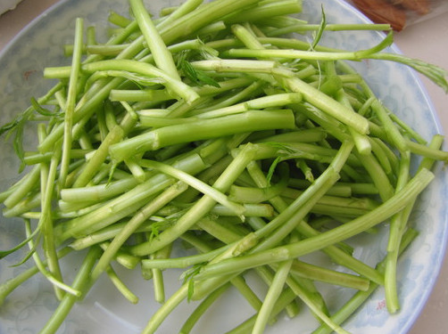 蘆蒿是發(fā)物嗎？蘆蒿是不是發(fā)物
